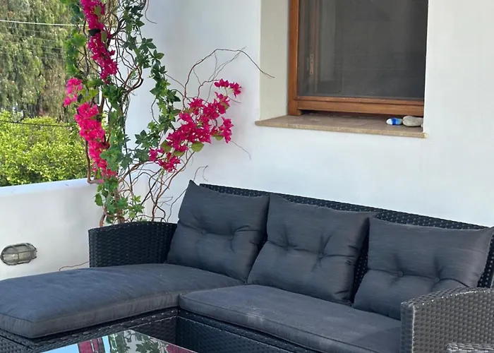 Apocalypsis شقة *